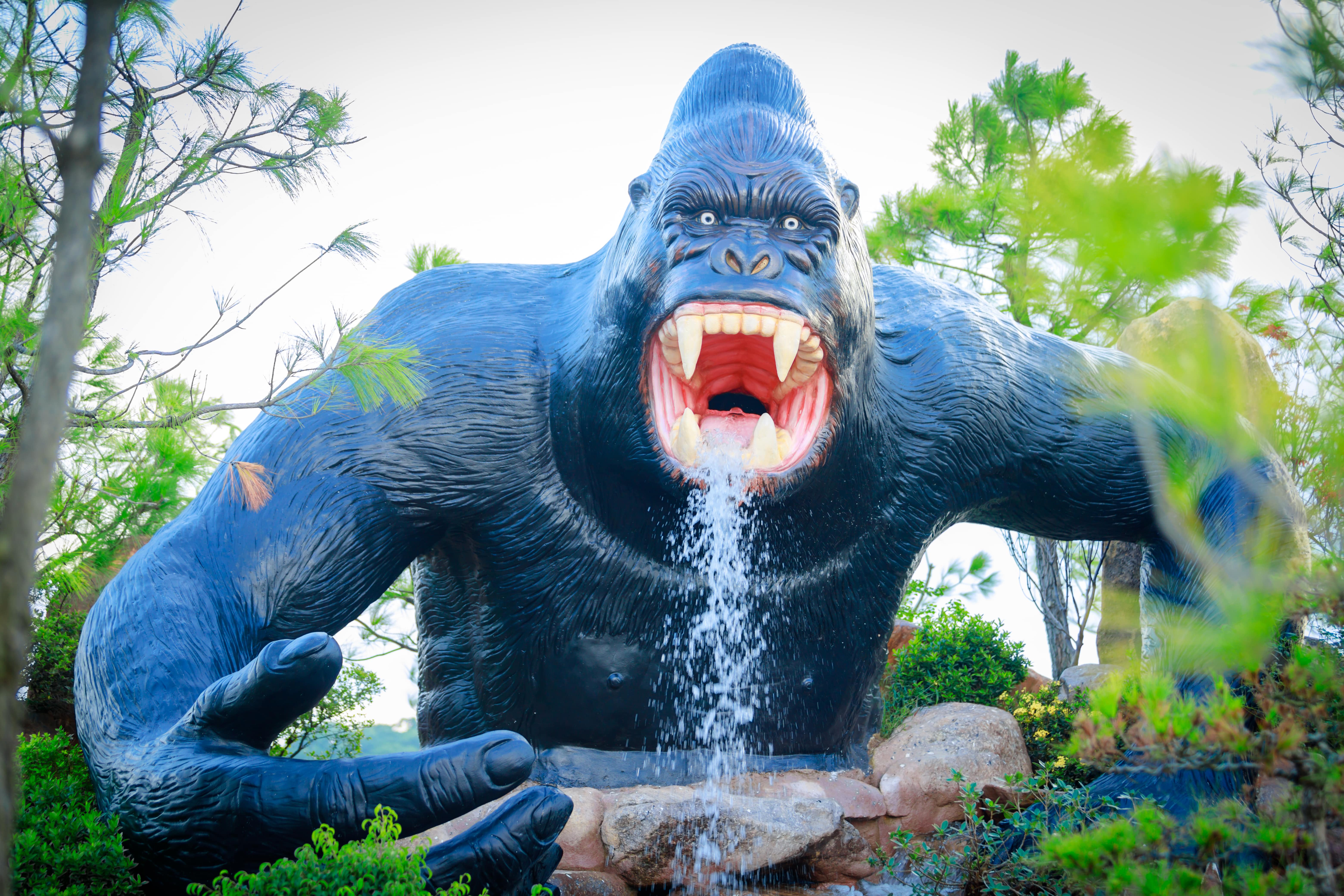 Khám Phá Thế Giới Động Vật