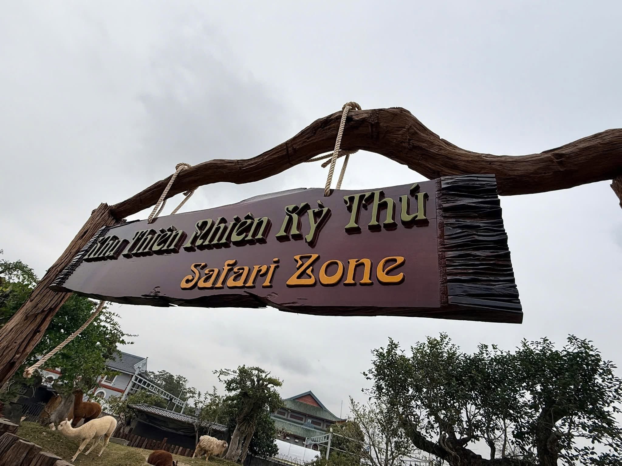 Vườn Thú Mini
